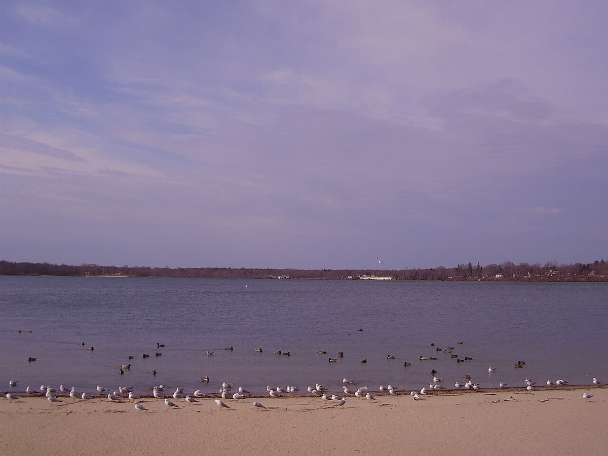 Ronkonkoma, NY - Lake Ronkonkoma, New York - Wikipedia